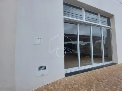 Galpão/Depósito/Armazém para alugar, 20m² no Centro, Marília