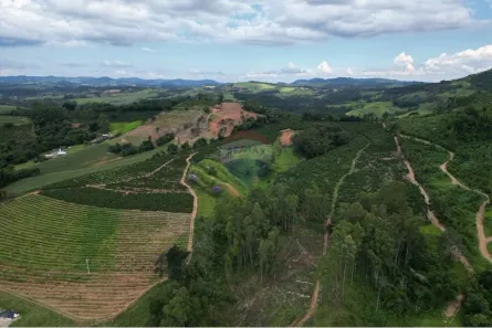 com 1 Quarto à venda, 660000m² no Bairro Santa Cruz, Caconde