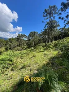 Lote/Terreno à venda, 59000m² no , Urubici