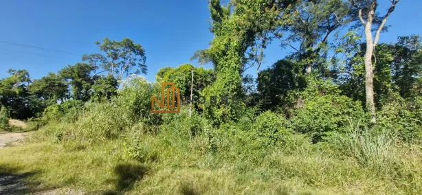 Lote/Terreno à venda, 1000m² no Recanto Campestre Internacional de Viracopos Gleba 2, Indaiatuba