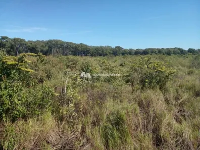 Fazenda/Sítio com 1 Quarto à venda, 14600000m² no Cohab Santa Teresinha, Poconé
