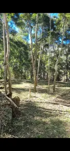 Lote/Terreno à venda, 5008m² no Araras, Petrópolis