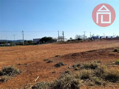 Lote/Terreno à venda, 65000m² no Curitibanos, Bragança Paulista