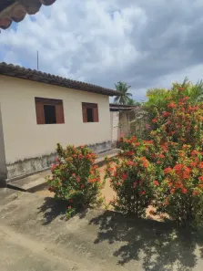 Fazenda/Sítio com 3 Quartos à venda, 20000m² no , São José de Mipibu
