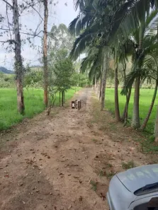Fazenda/Sítio com 2 Quartos à venda, 420000m² no Barreira do Triunfo, Juiz de Fora