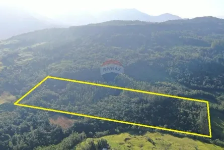 Fazenda/Sítio à venda, 150000m² no Engenho Velho, Jacinto Machado