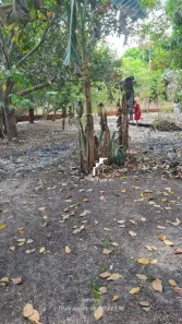 Lote/Terreno à venda, 300m² no , Teresina