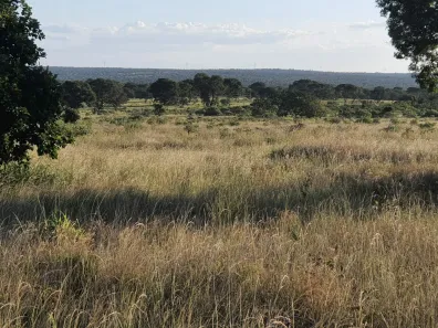 Fazenda/Sítio à venda, 1m² no , Buritizeiro