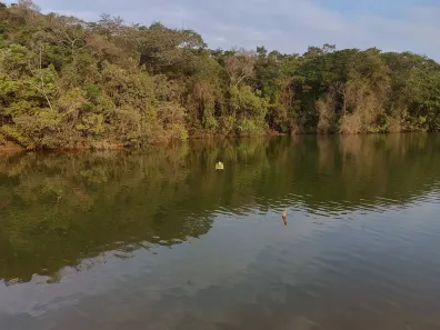 Fazenda/Sítio com 6 Quartos à venda, 7000m² no Vila Ipê Amarelo, Contagem
