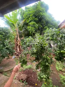 Lote/Terreno à venda, 638m² no Milionários (Barreiro), Belo Horizonte