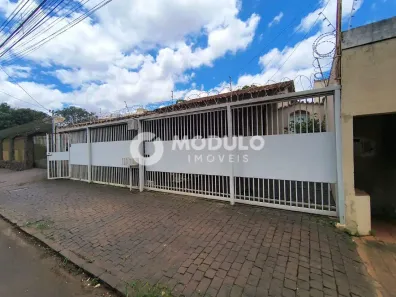 Imóvel Comercial com 3 Quartos para alugar, 170m² no Patrimônio, Uberlândia