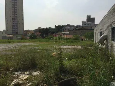 Lote/Terreno à venda, 4200m² no Vila Francisco Matarazzo, Santo André