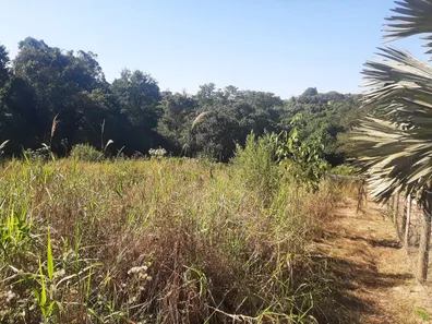 Fazenda/Sítio à venda, 7000m² no Área Rural de Limeira, Limeira