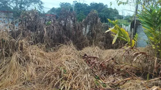 Lote/Terreno à venda, 350m² no Fazenda da Ilha, Embu-Guaçu