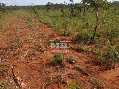 Fazenda/Sítio à venda, 1050m² no , Ponte Alta do Tocantins