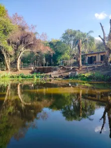 Fazenda/Sítio com 3 Quartos à venda, 108m² no Monterrey, Louveira