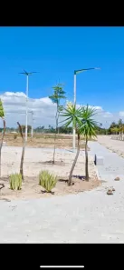 Lote/Terreno à venda, 150m² no Tapera, Aquiraz