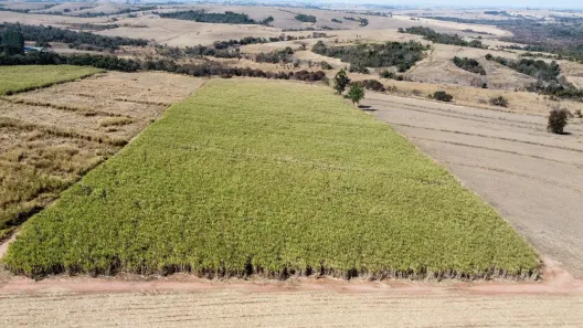 Fazenda/Sítio à venda, 72600m² no Área Rural de Águas de São Pedro, Águas de São Pedro