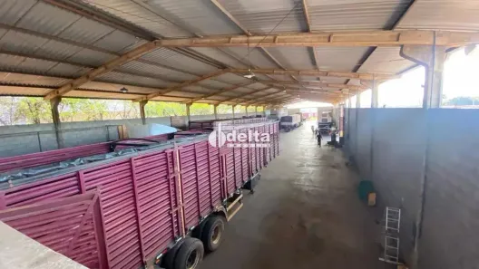 Ponto Comercial para alugar, 1500m² no Distrito Industrial, Uberlândia