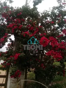 Fazenda/Sítio com 7 Quartos à venda, 163350m² no , Igaratá
