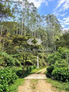 Lote/Terreno à venda, 40000m² no , Águas Mornas