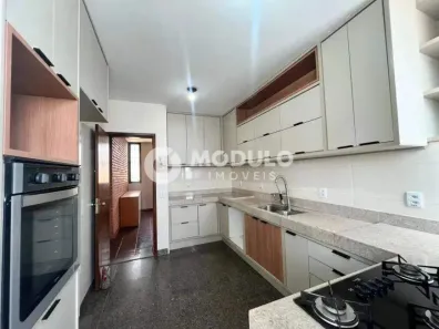 Casa com 3 Quartos para alugar, 293m² no Lídice, Uberlândia
