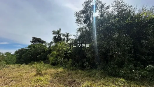 Lote/Terreno à venda, 20000m² no Cocuera, Mogi das Cruzes