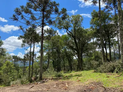 Fazenda/Sítio com 1 Quarto à venda, 20000m² no , Urubici