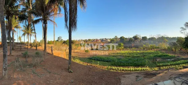 Fazenda/Sítio à venda, 18000m² no Jardim Helvécia Complemento, Aparecida de Goiânia