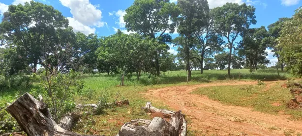 Fazenda/Sítio à venda, 20000m² no , Paraopeba