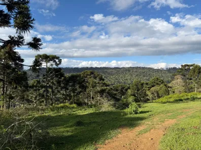 Lote/Terreno à venda, 20000m² no Urubici, Urubici