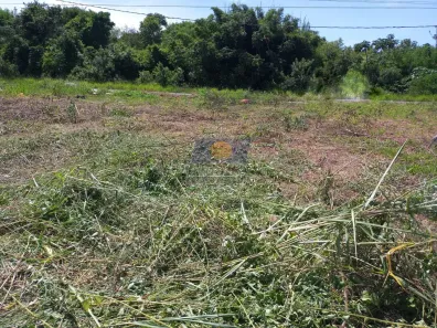 Lote/Terreno à venda, 360m² no Vila Clementina, São José do Rio Preto
