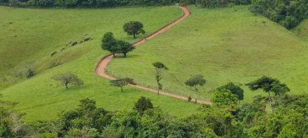 Fazenda/Sítio à venda, 121000000m² no , Chã Preta
