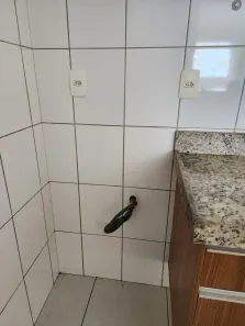 Apartamento com 2 Quartos para alugar, 60m² no Apeadouro, São Luís