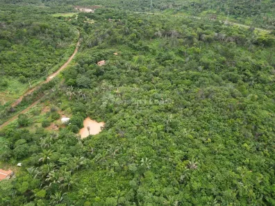 Fazenda/Sítio à venda, 10m² no , Teresina