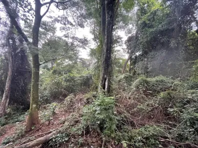 Lote/Terreno à venda, 5000m² no Freguesia (Jacarepaguá), Rio de Janeiro