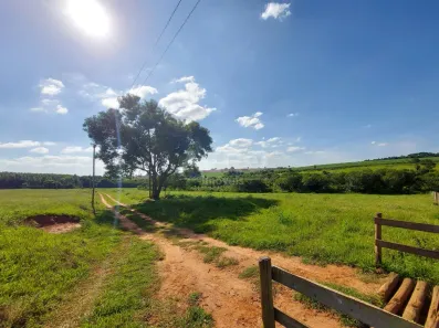 Fazenda/Sítio à venda, 149556m² no Área Rural de Iacanga, Iacanga