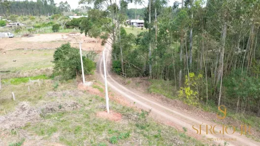 Fazenda/Sítio à venda, 10000m² no , Triunfo