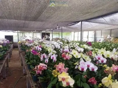 Lote/Terreno à venda, 1200m² no Iapar, Morretes