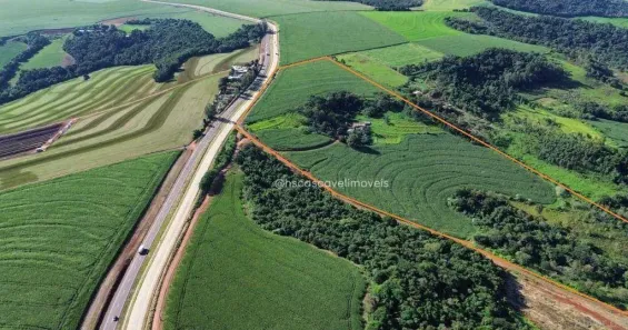 Fazenda/Sítio à venda, 183920m² no Santa Maria, Santa Tereza do Oeste