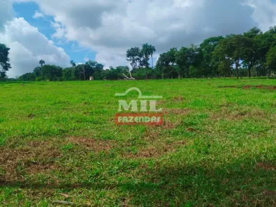 Fazenda/Sítio à venda, 1m² no Residencial Triunfo V, Goianira