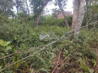 Lote/Terreno à venda, 275m² no Luíza Mar Mirim, Itanhaém