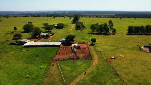 Fazenda/Sítio com 2 Quartos à venda, 546000m² no Santa Fé, Campo Grande
