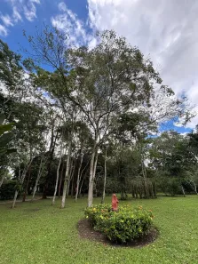 Fazenda/Sítio com 5 Quartos à venda, 70000m² no Aldeia dos Camarás, Camaragibe