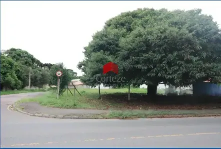 Lote/Terreno à venda, 1011m² no Rio Pequeno, São José dos Pinhais