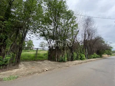 Lote/Terreno para alugar, 8000m² no Chácara Espéria, Piracicaba