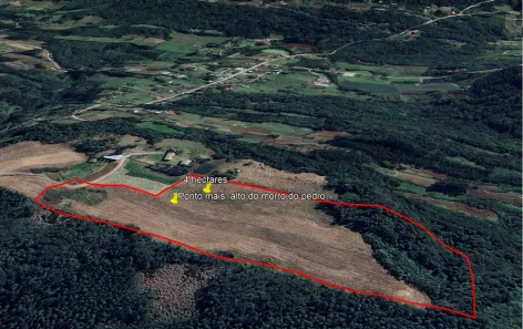 Fazenda/Sítio à venda, 40000m² no Morro do Pedro, Presidente Lucena