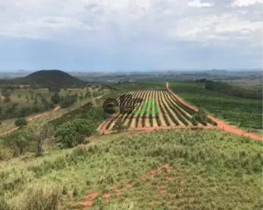 Fazenda/Sítio com 1 Quarto à venda, 16740000m² no , Presidente Olegário