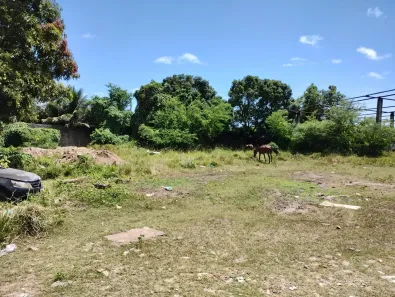 Lote/Terreno à venda, 3151m² no Sapucaia, Olinda