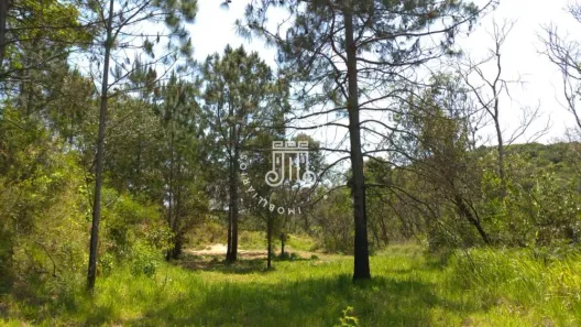 Fazenda/Sítio com 8 Quartos à venda, 800m² no Vila Palmares, Franco da Rocha